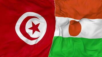 tunisia e Niger bandiere insieme senza soluzione di continuità looping sfondo, loop urto struttura stoffa agitando lento movimento, 3d interpretazione video