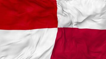 Indonesia and Poland Flags Together Seamless Looping Background, Looped Bump Texture Cloth Waving Slow Motion, 3D Rendering video