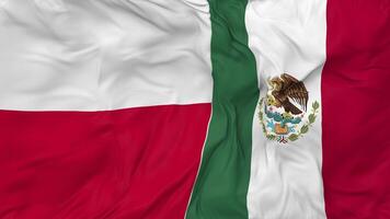 Mexico and Poland Flags Together Seamless Looping Background, Looped Bump Texture Cloth Waving Slow Motion, 3D Rendering video