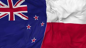 Neu Neuseeland und Polen Flaggen zusammen nahtlos Schleifen Hintergrund, geloopt stoßen Textur Stoff winken schleppend Bewegung, 3d Rendern video