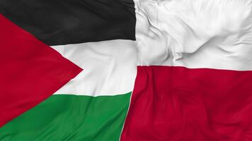 Palestina y Polonia banderas juntos sin costura bucle fondo, serpenteado bache textura paño ondulación lento movimiento, 3d representación video