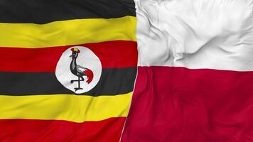 Uganda and Poland Flags Together Seamless Looping Background, Looped Bump Texture Cloth Waving Slow Motion, 3D Rendering video