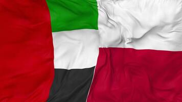 United Arab Emirates and Poland Flags Together Seamless Looping Background, Looped Bump Texture Cloth Waving Slow Motion, 3D Rendering video