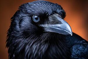 AI generated Swift Raven bird fly. Generate Ai photo