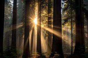 AI generated Enchanting Redwood forest sunrays. Generate Ai photo