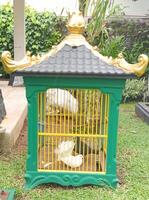 a bird cage in the yard photo