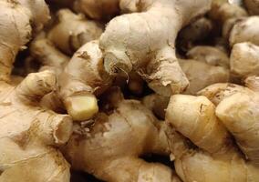 fresh ginger in the container photo