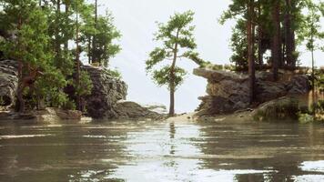 un' corpo di acqua circondato di alberi e rocce video