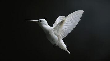 ai generado internacional albinismo conciencia día, albino colibrí en un negro fondo, un genético característica de apariencia, no me gusta todos demás foto