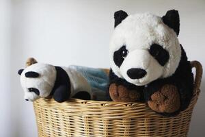panda muñeca negro y blanco en mimbre cesta para lavandería preparación. foto