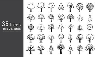 silhouette tree line drawing set, Side view, set of graphics trees elements outline symbol vector