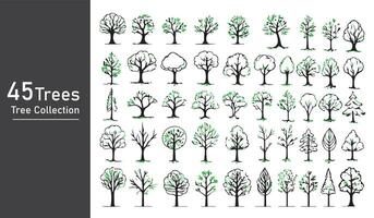 silhouette tree line drawing set, Side view, set of graphics trees elements outline symbol vector