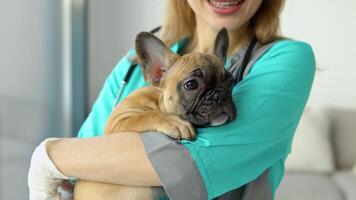 Woman doctor veterinarian holding a small dog in her arms. Close up video