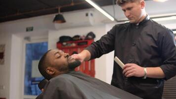 The hairdresser cuts with scissors and combs the client's beard with a comb. Beard care video