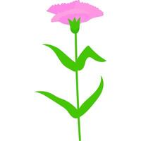 carnation decorative cute drawing element vector