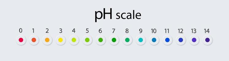 pH scale chart for acid vector