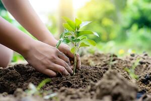 ai generado manos plantando un joven árbol, ambiental conservación concepto foto