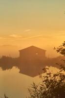 Old barn on lake shore on misty sunrise photo