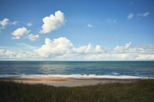 Coastline at the north sea photo