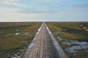 Brick Path into wadden sea at westerhever in germany photo