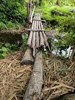 bambú y de madera pasarelas cruzar el río foto