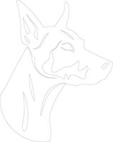 caballero pinscher contorno silueta vector