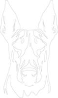 Doberman pinscher   outline silhouette vector