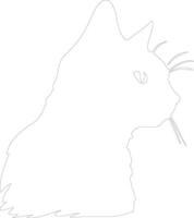 europeo cabello corto gato contorno silueta vector