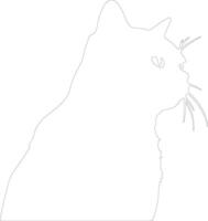 Exotic Shorthair Cat  outline silhouette vector