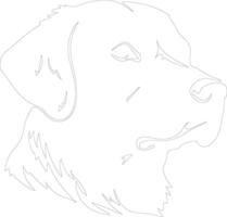 Chesapeake Bay Retriever  outline silhouette vector