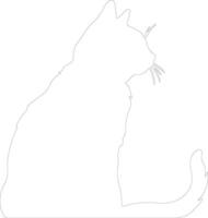 British Shorthair Cat  outline silhouette vector