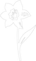 AI generated daffodil  outline silhouette vector