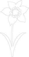 AI generated daffodil  outline silhouette vector