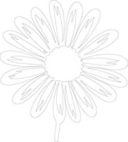 AI generated daisy  outline silhouette vector