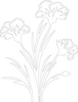 AI generated dianthus  outline silhouette vector