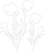 AI generated dianthus  outline silhouette vector