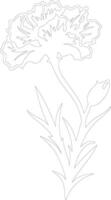 AI generated dianthus  outline silhouette vector