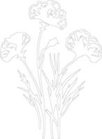 AI generated dianthus  outline silhouette vector