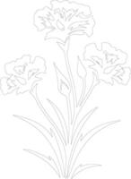 AI generated dianthus  outline silhouette vector