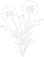 AI generated dianthus  outline silhouette vector