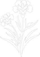 AI generated dianthus  outline silhouette vector