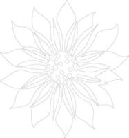 AI generated edelweiss  outline silhouette vector