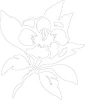 AI generated gardenia  outline silhouette vector