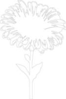 ai generado gerbera margarita contorno silueta vector