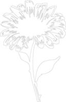 AI generated gerbera daisy  outline silhouette vector