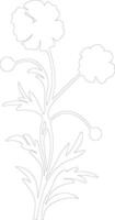 AI generated gillyflower  outline silhouette vector