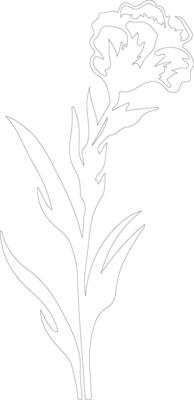 AI generated gladiolus outline silhouette