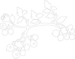 AI generated hawthorn  outline silhouette vector