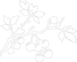 AI generated hawthorn  outline silhouette vector