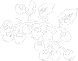 AI generated hawthorn  outline silhouette vector